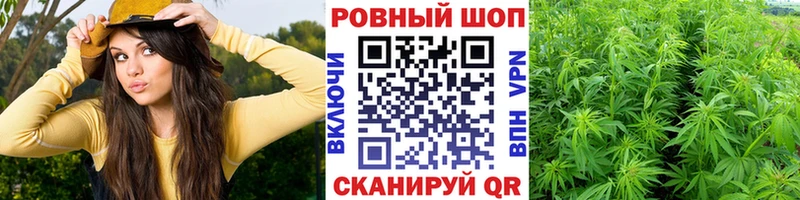 Виды наркоты Киреевск Каннабис  Cocaine  Псилоцибиновые грибы  Мефедрон 