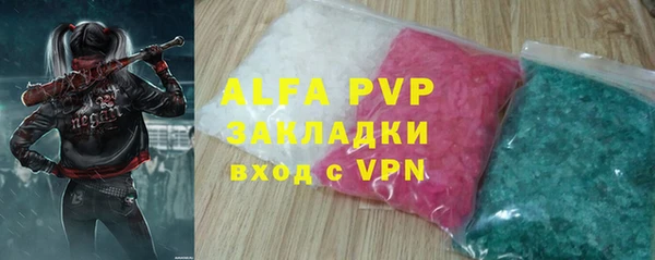 индика Балахна