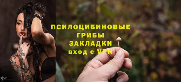 индика Балахна