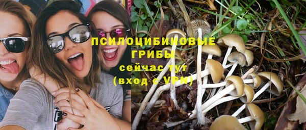 а пвп мука Арсеньев