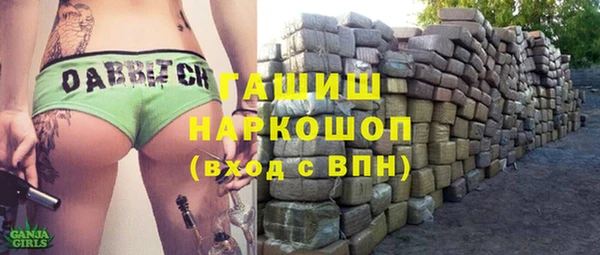индика Балахна