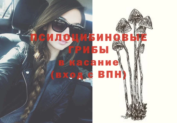 индика Балахна