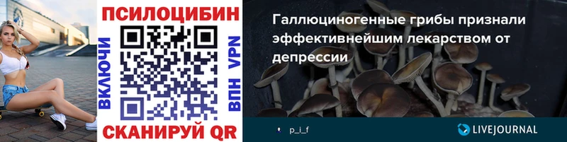 ссылка на мегу зеркало  наркошоп  Киреевск  Галлюциногенные грибы мухоморы 