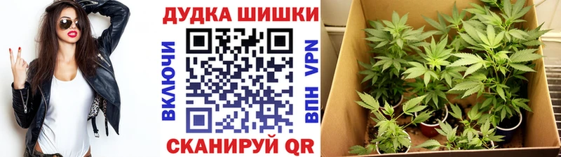 закладки  Киреевск  Каннабис Amnesia 